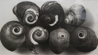 Seven Shells, New York, May 2002 Unique Photography by Irving Penn - 0