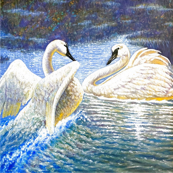 Mates Forever, Trumpeter Swans Montana 2009 24x30 by 