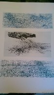 A Genesis, Suite of 15 Etchings 1966 Limited Edition Print by Gabor Peterdi - 4 A Genesis, Suite of 15 Etchings 1966 Limited Edition Print by Gabor Peterdi - 4