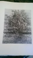 A Genesis, Suite of 15 Etchings 1966 Limited Edition Print by Gabor Peterdi - 8 A Genesis, Suite of 15 Etchings 1966 Limited Edition Print by Gabor Peterdi - 8