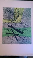 A Genesis, Suite of 15 Etchings 1966 Limited Edition Print by Gabor Peterdi - 27