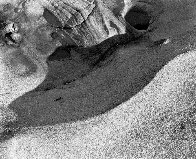 Point Lobos, California, USA 2004 Limited Edition Print by Simeon Posen - 0 Point Lobos, California, USA 2004 Limited Edition Print by Simeon Posen - 0