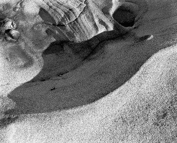 Point Lobos, California, USA 2004 Limited Edition Print - Simeon Posen Point Lobos, California, USA 2004 Limited Edition Print - Simeon Posen