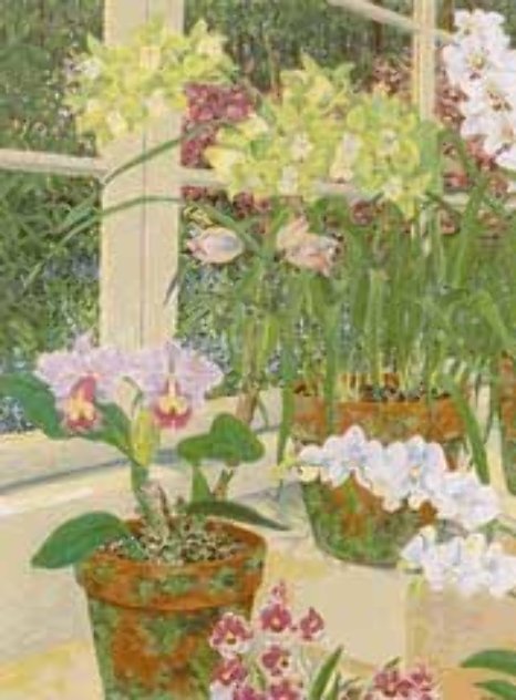 Orchids and Sunlight 1991 Limited Edition Print by John Powell