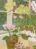 Orchids and Sunlight PP Limited Edition Print by John Powell - 1