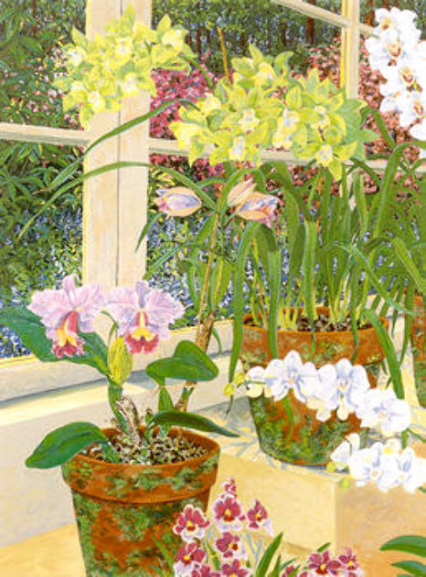 Orchids and Sunlight PP Limited Edition Print by John Powell