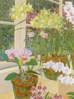 Orchids and Sunlight PP Limited Edition Print - John Powell Orchids and Sunlight PP Limited Edition Print - John Powell