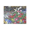 Paradise Park 1993 Limited Edition Print by John Powell - 1