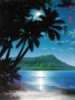 Diamond Head Dream Limited Edition Print - Steven Power Diamond Head Dream Limited Edition Print - Steven Power