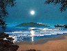 Wailea Moonrise 2003 — Hawaii Limited Edition Print by Steven Power - 2