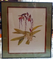 Untitled Orchid Still Life Limited Edition Print by Rodella Purves - 1