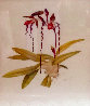 Untitled Orchid Still Life Limited Edition Print by Rodella Purves - 0
