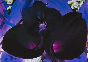 At the Far Edges of the Universe #6 2010 Limited Edition Print - Marc Quinn At the Far Edges of the Universe #6 2010 Limited Edition Print - Marc Quinn