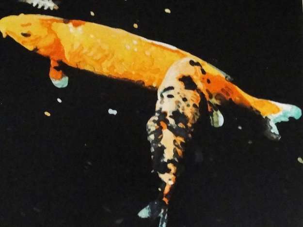 Night Sky Fish 1997 Limited Edition Print by Joseph Raffael Night Sky Fish 1997 Limited Edition Print by Joseph Raffael