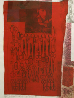 More Distant Visible Part of the Red Sea - 1979 Limited Edition Print - Robert Rauschenberg More Distant Visible Part of the Red Sea - 1979 Limited Edition Print - Robert Rauschenberg
