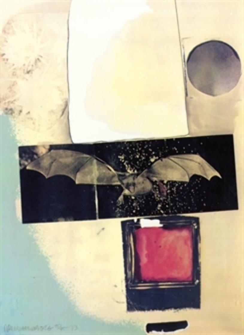 Rays - 1973 AP Limited Edition Print by Robert Rauschenberg Rays - 1973 AP Limited Edition Print by Robert Rauschenberg