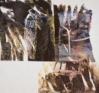 Relic (Speculations) - 1997 HS Limited Edition Print by Robert Rauschenberg - 0