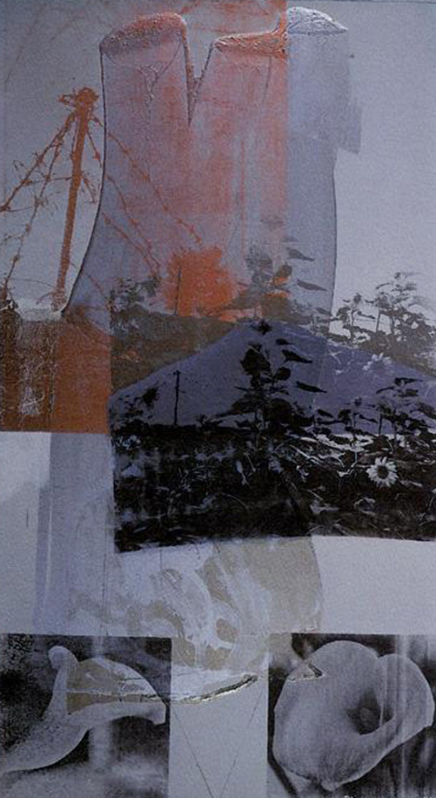 Tanya Veil (Whale) 1994 Limited Edition Print by Robert Rauschenberg Tanya Veil (Whale) 1994 Limited Edition Print by Robert Rauschenberg