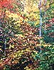 Autumn Symmetry 30x24 Original Painting by Joann Rea - 0