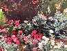 Rose Garden with Trellis 24x30 Original Painting by Joann Rea - 1