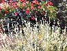 Rose Garden with Trellis 24x30 Original Painting by Joann Rea - 3