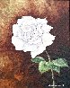 White Rose 2013 24x20 Original Painting by Alexandre Renoir - 0