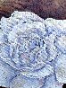White Rose 2013 24x20 Original Painting by Alexandre Renoir - 2
