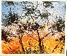 Sunset 2015 28x32 - California Original Painting by Alexandre Renoir - 2