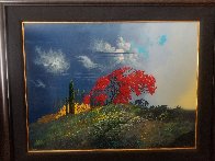 Seasons of Light 2003 Limited Edition Print by Bruce Ricker - 1