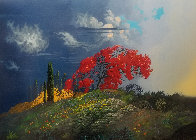 Seasons of Light 2003 Limited Edition Print by Bruce Ricker - 0