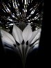 Desert Flower Optical Lead Crystal Sculpture Sculpture by Christopher Ries - 8