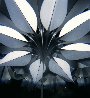 Desert Flower Optical Lead Crystal Sculpture Sculpture by Christopher Ries - 3