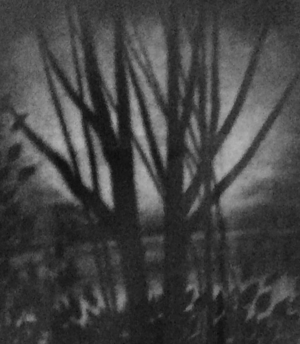 Dusk 1960 Limited Edition Print by Robert Kipniss Dusk 1960 Limited Edition Print by Robert Kipniss
