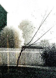 Gardens 1980 Limited Edition Print - Robert Kipniss Gardens 1980 Limited Edition Print - Robert Kipniss