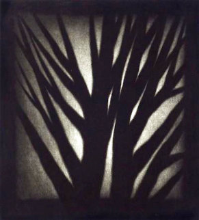 Shadow Show Limited Edition Print - Robert Kipniss Shadow Show Limited Edition Print - Robert Kipniss