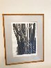 Untitled Trees AP 1968 - Vintage - EARLY Limited Edition Print by Robert Kipniss - 1