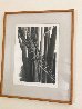 Untitled Trees AP 1968 - Vintage - EARLY Limited Edition Print by Robert Kipniss - 3