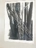 Untitled Trees AP 1968 - Vintage - EARLY Limited Edition Print by Robert Kipniss - 4
