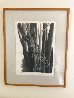 Untitled Trees AP 1968 - Vintage - EARLY Limited Edition Print by Robert Kipniss - 2