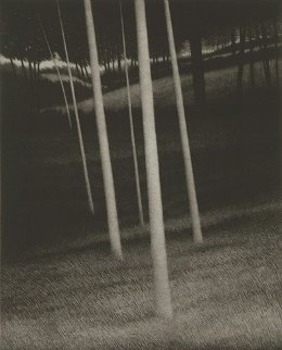 Hillside with Small Clearing 2005 Limited Edition Print - Robert Kipniss Hillside with Small Clearing 2005 Limited Edition Print - Robert Kipniss