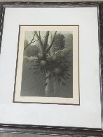 Hillside Flowers Limited Edition Print by Robert Kipniss - 1