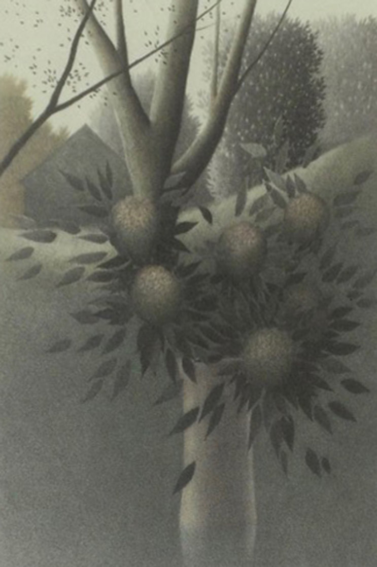Hillside Flowers Limited Edition Print by Robert Kipniss