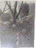 Hillside Flowers Limited Edition Print by Robert Kipniss - 4