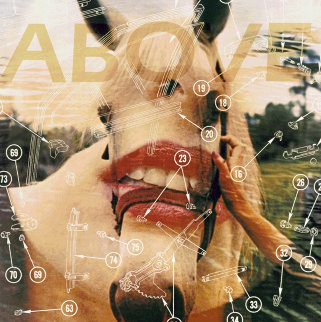 Myth and Technology From Series of 7 Works: Above 1981 Limited Edition Print - James Rosenquist Myth and Technology From Series of 7 Works: Above 1981 Limited Edition Print - James Rosenquist
