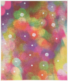 Circles of Confusion 1965 Limited Edition Print - James Rosenquist Circles of Confusion 1965 Limited Edition Print - James Rosenquist