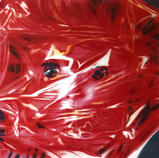 Gift Wrapped Doll 1993 AP Limited Edition Print - James Rosenquist Gift Wrapped Doll 1993 AP Limited Edition Print - James Rosenquist