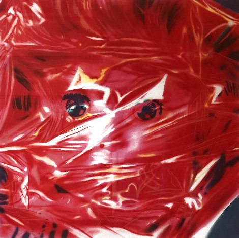 Gift Wrapped Doll  1993 AP Limited Edition Print - James Rosenquist
