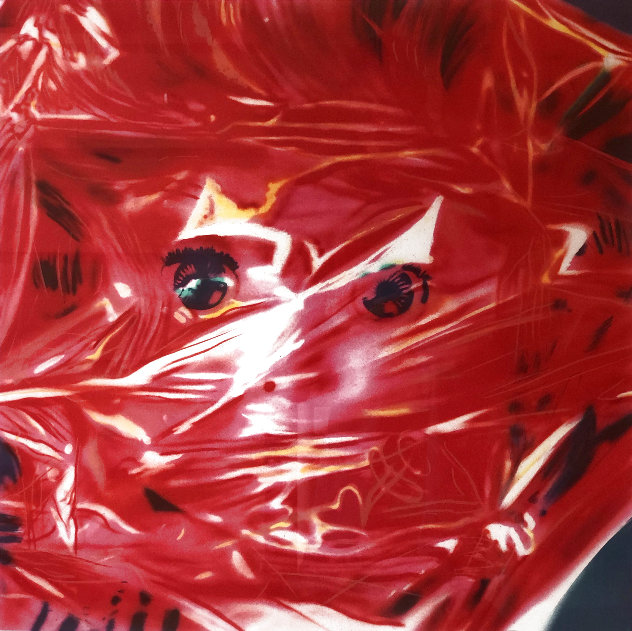 Gift Wrapped Doll  1993 AP Limited Edition Print by James Rosenquist