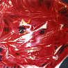 Gift Wrapped Doll  1993 AP Limited Edition Print by James Rosenquist - 0