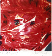 Gift Wrapped Doll  1993 AP Limited Edition Print by James Rosenquist - 4
